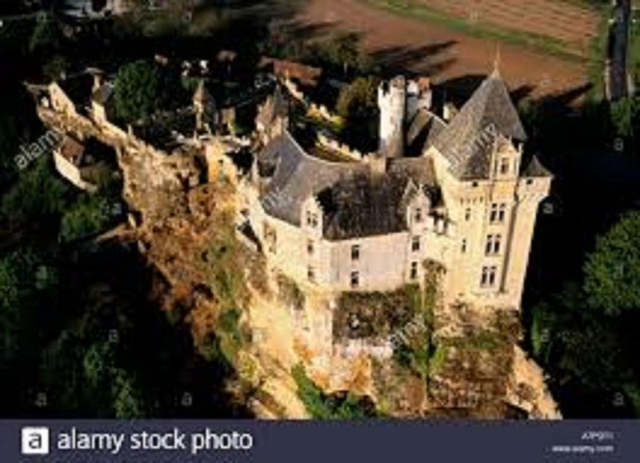 Les Pruniers De La Cipiere Vila Peyzac-le-Moustier Exterior foto