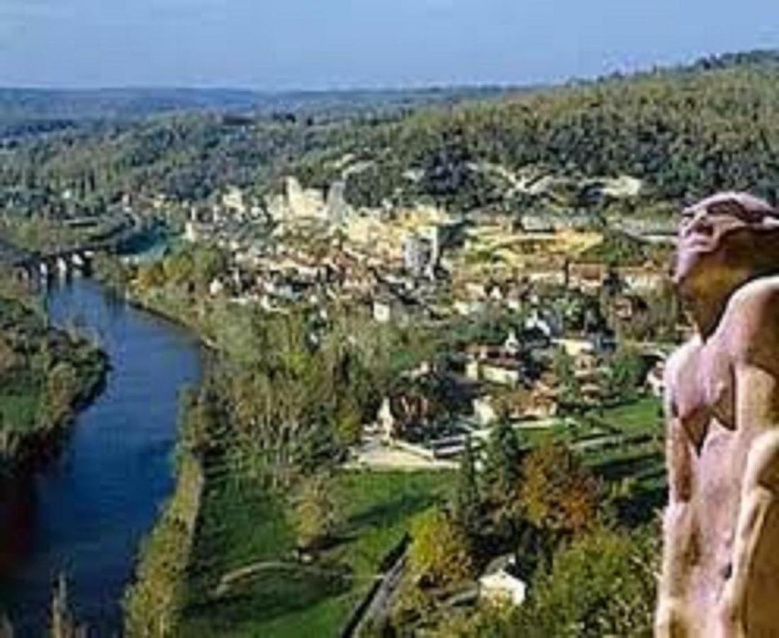 Les Pruniers De La Cipiere Vila Peyzac-le-Moustier Exterior foto