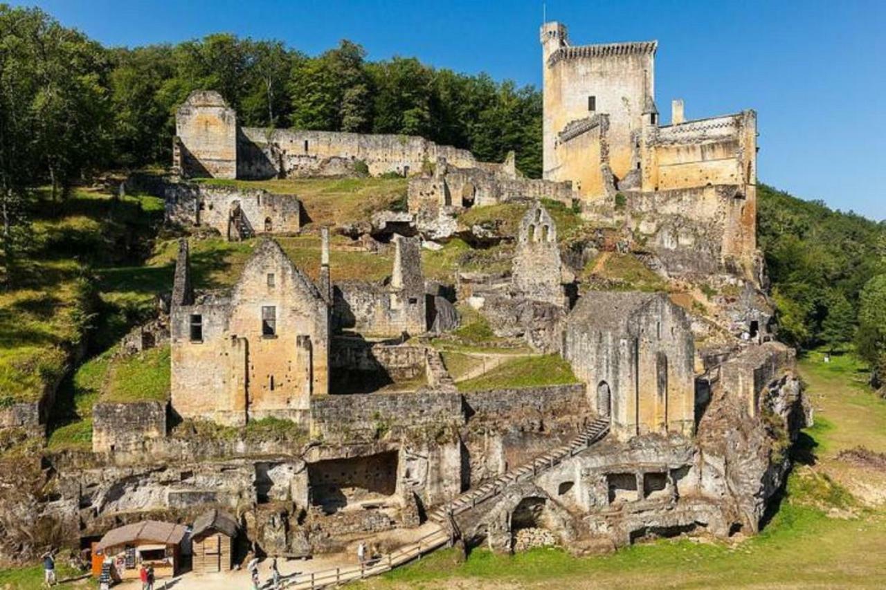 Les Pruniers De La Cipiere Vila Peyzac-le-Moustier Exterior foto